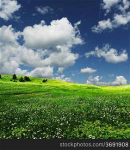 Green field and white clouds