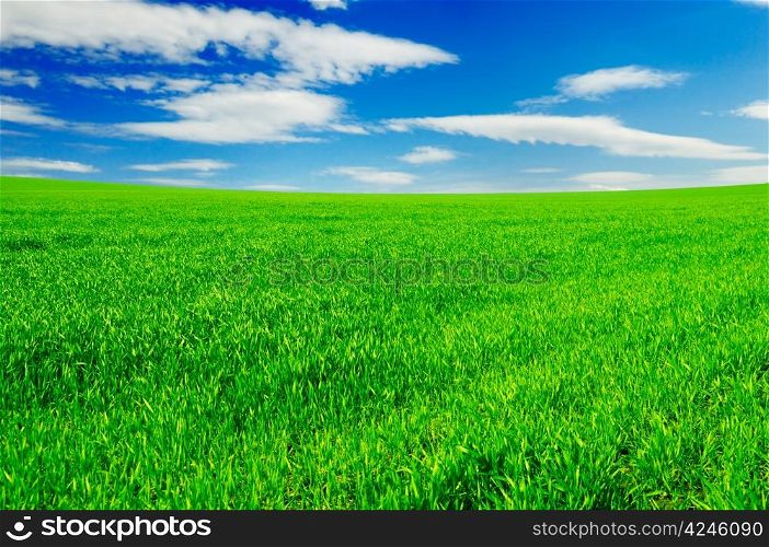 green field, blue sky, white clouds