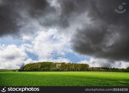 Green field in front of a small forest in a rural countryside scenery with dramatic clouds
