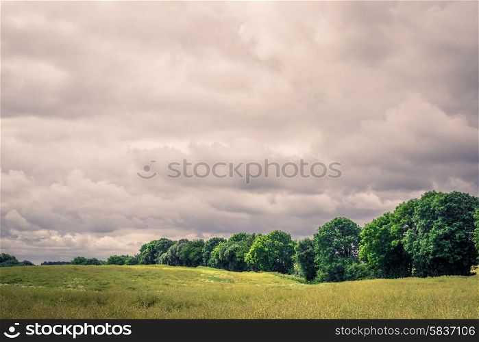 Green field landscape with cloudy weater