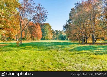 Green field lawn and autumn sunset forest