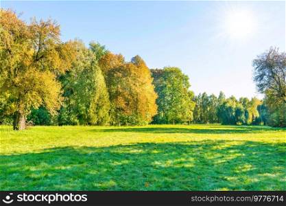 Green field lawn and autumn sunset forest with green trees