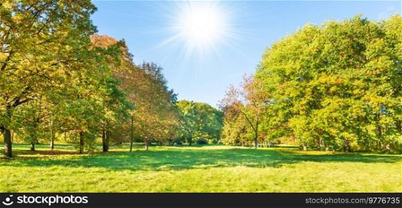 Green field lawn panorama and autumn sunset forest with green trees