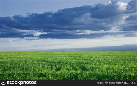 green field on a background of storm clouds