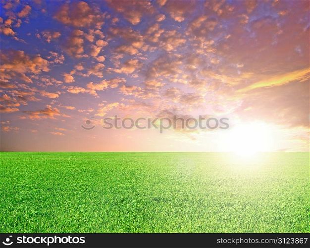 green field on a background of the blue sky