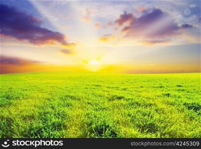 green field on a background of the blue sky