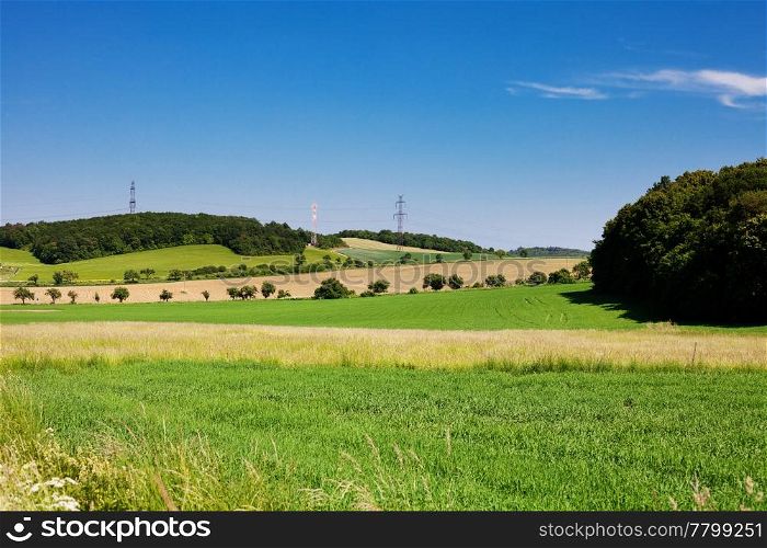 green field on background blue sky