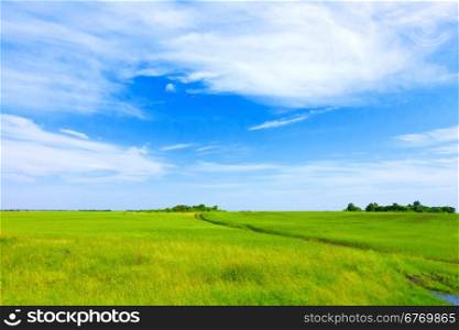 green field, road and blue sky