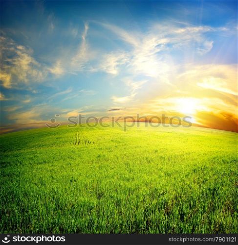 Green field under beautiful clouds at sunrise
