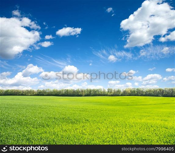 Green field under blue sky with white clouds