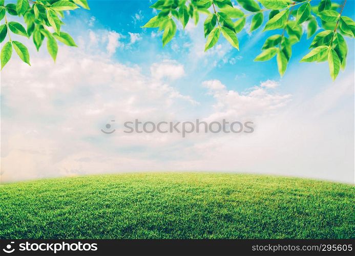Green field under blue sky with white clouds and leaves, environment concept.