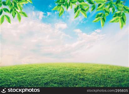 Green field under blue sky with white clouds and leaves, environment concept.