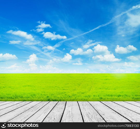 Green field under blue sky. Wood floor