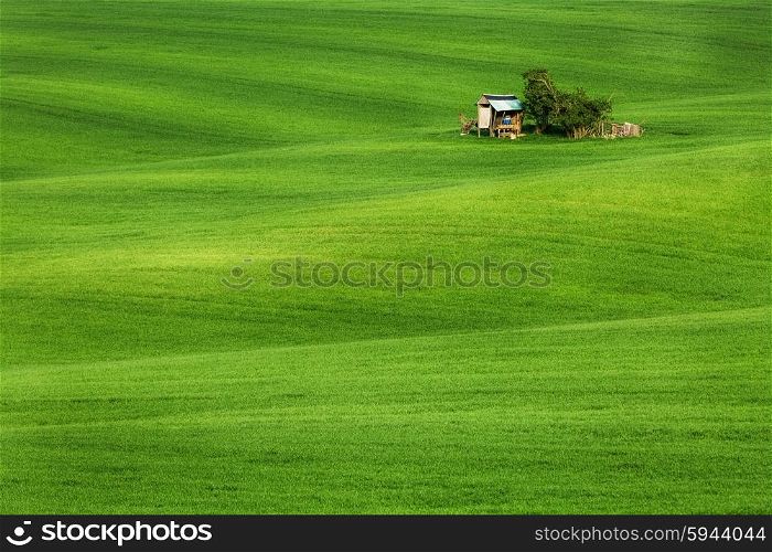 Green field waves with hut, South Moravia, Czech Republic