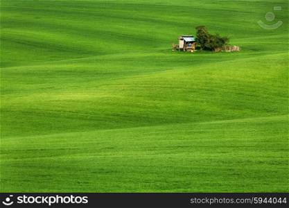 Green field waves with hut, South Moravia, Czech Republic