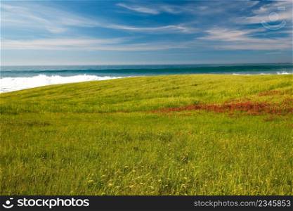 Green field with an amazing view of the beach on the background