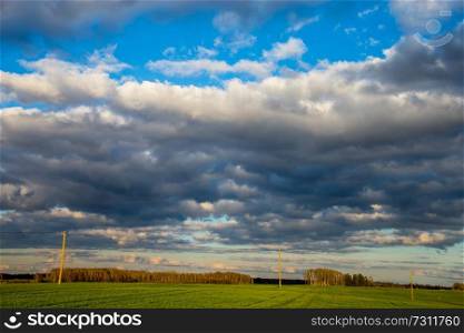 Green field with cereal and trees on the back, against a blue cloudy sky. Spring landscape with cornfield, wood and cloudy blue sky. Classic rural landscape in Latvia.
