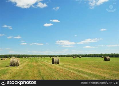 Green field with hay bales. Hay bales