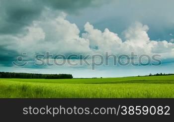 Green field with overcast clouds time lapse