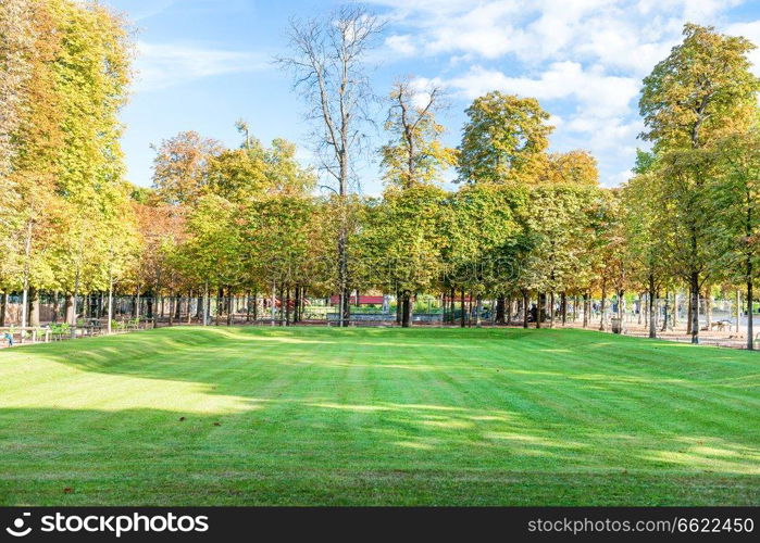 Green field with trees in Tuileries garden in Paris, France