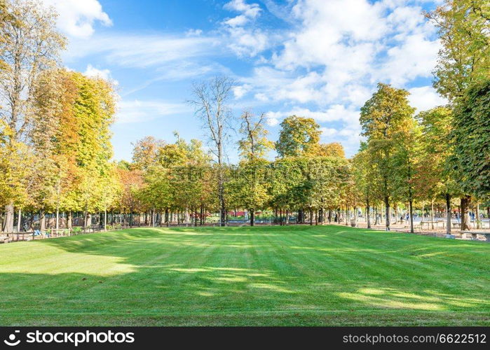 Green field with trees in Tuileries garden in Paris, France