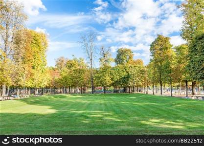 Green field with trees in Tuileries garden in Paris, France
