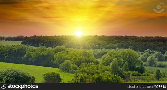 Green fields and a bright sunrise over the horizon. The hills are covered with trees and shrubs. Wide photo. Agricultural landscape.