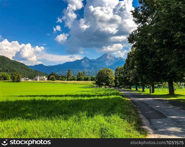 Green fields and a line of trees with a mountain in the background in Austria