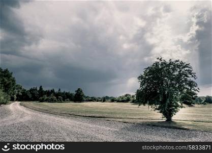 Green fields and cloudy weather
