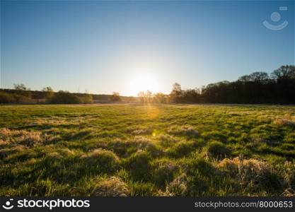 Green fields at sunrise, near the Oder River, Germany