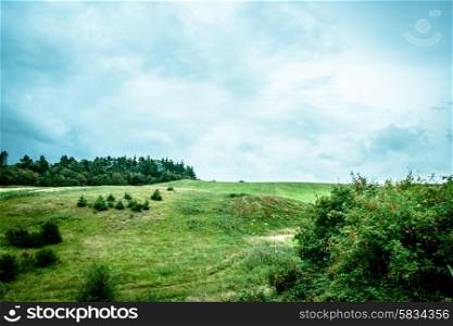 Green fields with cloudy weather and blue sky