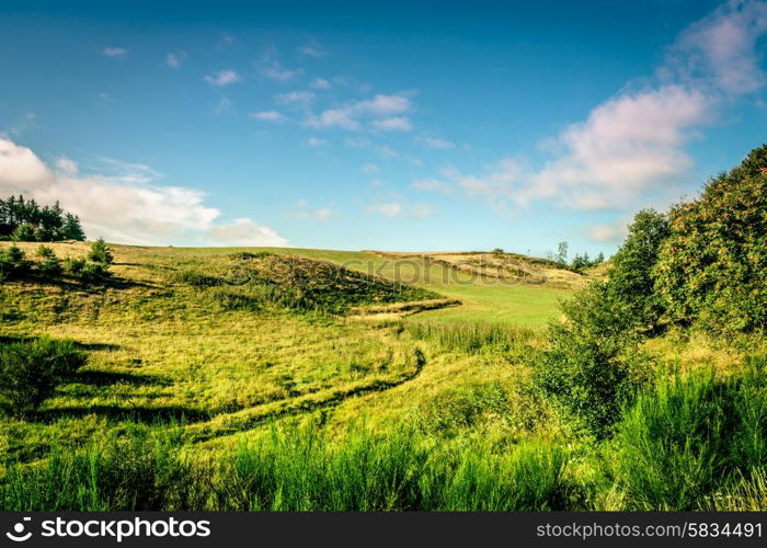 Green fields with sunshine and blue sky