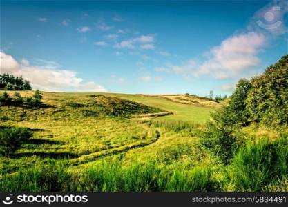 Green fields with sunshine and blue sky