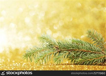 Green fir branch isolated on golden glitter shining background