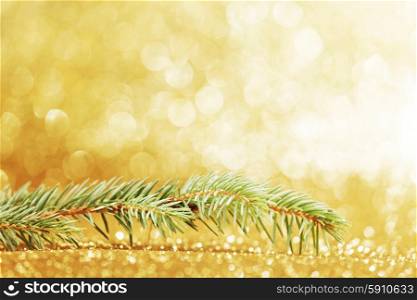 Green fir branch isolated on golden glitter shining background