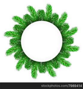 Green Fir Circle Frame Isolated on White Background. Green Fir Circle Frame