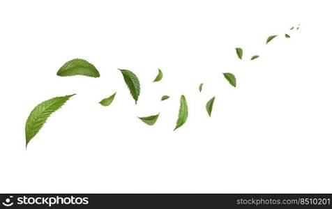 Green Floating Leaves Flying Leaves Green Leaf Dancing, Air Purifier Atmosphere Simple Main Picture 