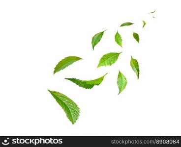 Green Floating Leaves Flying Leaves Green Leaf Dancing, Air Purifier Atmosphere Simple Main Picture 
