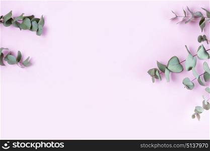 Green floral composition. Green floral composition with silver dollar eucalyptus on pink plain background. Healing Herbs for cards, wedding invitation, posters, save the date or greeting design.