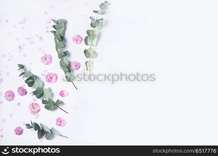 Green floral composition. Green floral frame with silver dollar eucalyptus and pink flowers border on white background with copy space. Healing Herbs for cards, wedding invitation, posters, save the date or greeting design.