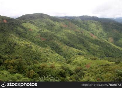 Green forest and high mountain in Laos