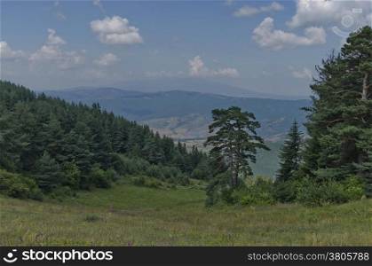 Green forest and high peaks in Rila mountain, Bulgaria.