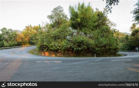 Green forest winding curve road