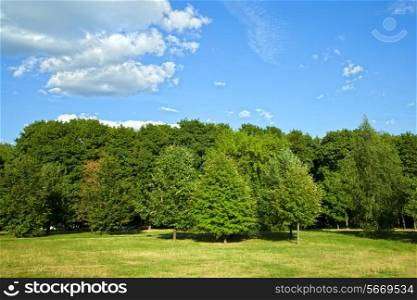Green forest with blue sky and clouds on summer day