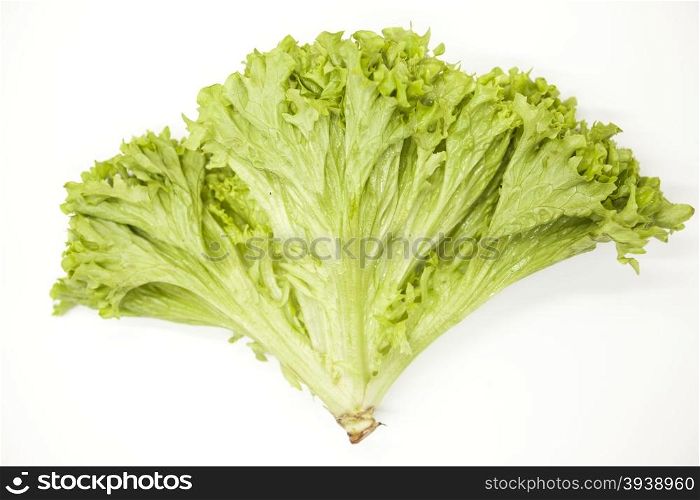 Green fresh bunch of a lettuce on a white background. The best healthy breakfast for the modern person.. Green fresh bunch of a lettuce on a white background. The best healthy breakfast for the modern person