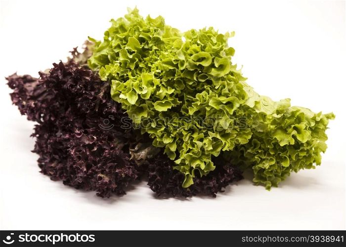 Green fresh bunch of a lollo rosso and lettuce on a white background. The best healthy breakfast for the modern person. Green fresh bunch of a lollo rosso and lettuce on a white background. The best healthy breakfast for the modern person.