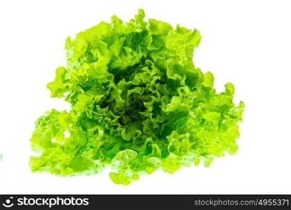 Green fresh lettuce over white background