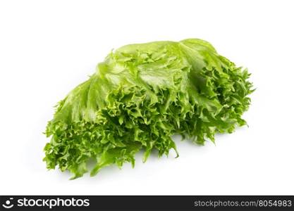 Green fresh lettuce salad texture close up shot on white background