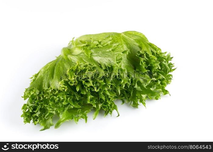Green fresh lettuce salad texture close up shot on white background
