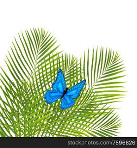 green fresh palm leaves with blue butterfly isolated on white backgrouns. palm leaves with butterfly